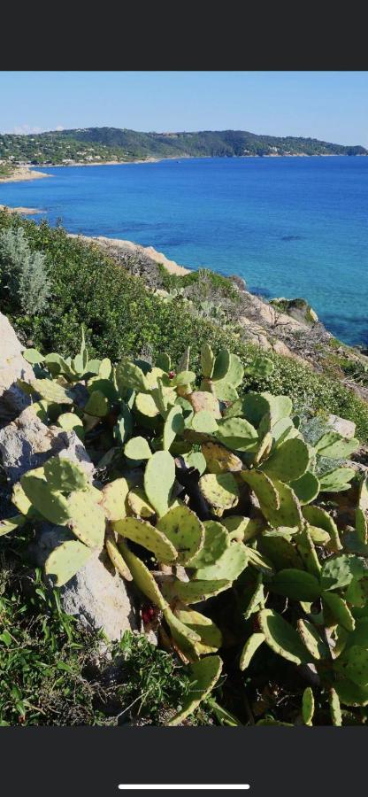 La Dolce Vita Mazet A Gassin Golfe De Saint Tropez Kültér fotó