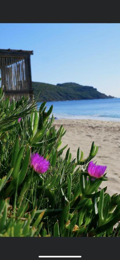 La Dolce Vita Mazet A Gassin Golfe De Saint Tropez Kültér fotó
